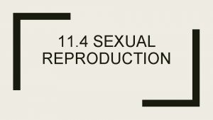 11 4 SEXUAL REPRODUCTION Spermatogenesis Spermatogenesis is the