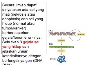 Lysosomal hydrolase