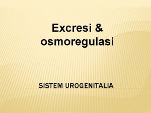 Excresi osmoregulasi SISTEM UROGENITALIA DISCRIPTION Merupakan gabungan dari