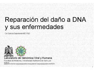 Reparacin del dao a DNA y sus enfermedades