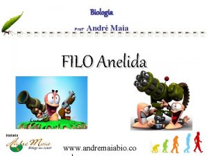 Biologia Prof Andr Maia FILO Anelida www andremaiabio