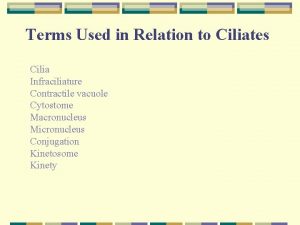 Terms Used in Relation to Ciliates Cilia Infraciliature