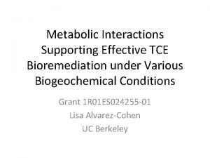 Metabolic Interactions Supporting Effective TCE Bioremediation under Various