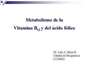 Metabolismo de la vitamina b12