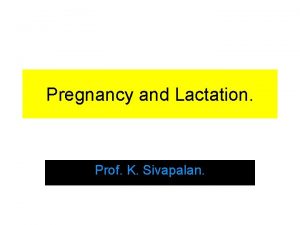 Pregnancy and Lactation Prof K Sivapalan Uterus is