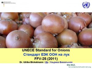 UNECE Standard for Onions FFV25 2011 Dr Ulrike