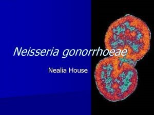 Neisseria gonorrhoeae Nealia House Gonorrhea n Topic Overview