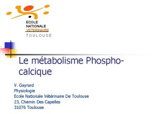 ECOLE NATIONALE VETERINAIRE TOULOUSE Le mtabolisme Phosphocalcique V