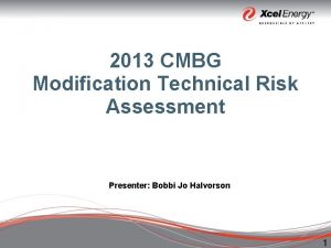 2013 CMBG Modification Technical Risk Assessment Presenter Bobbi