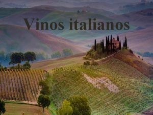 Zona vinicola de italia
