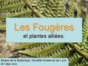 Fougres