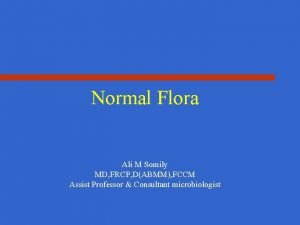 Normal Flora Ali M Somily MD FRCP DABMM