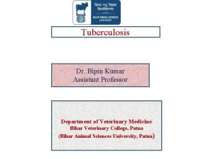 Tuberculosis Dr Bipin Kumar Assistant Professor Department of