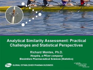 Analytical Similarity Assessment Practical Challenges and Statistical Perspectives