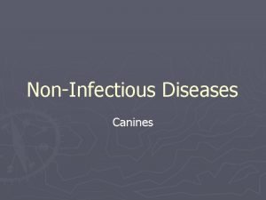 NonInfectious Diseases Canines NonInfectious Diseases Cannot be caught