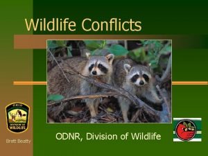 Odnr division of wildlife