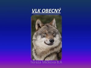 VLK OBECN Tereza Mikova 8 A OBSAH Zaazen