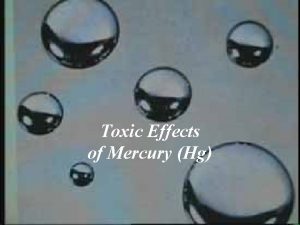 Toxic Effects of Mercury Hg Toxic Effects of