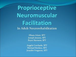 Proprioceptive Neuromuscular Facilitation In Adult Neurorehabilitation Elham Attari