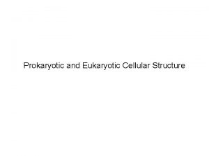 Prokaryotic and Eukaryotic Cellular Structure Prokaryotic Eukaryotic Cells