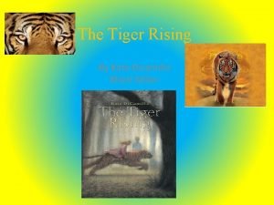 Tiger rising kate dicamillo