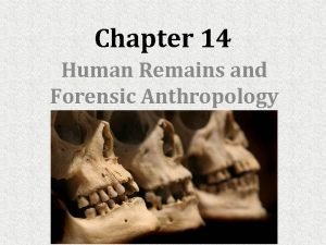 Forensic anthropology unit