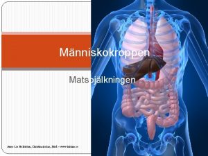 Mnniskokroppen Matspjlkningen AnneLie Hellstrm Christinaskolan Pite www lektion