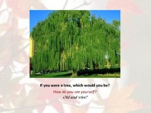 If you were a tree which would you