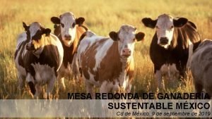 Participantes de la mesa redonda