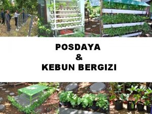 POSDAYA KEBUN BERGIZI POSDAYA POS PEMBERDAYAAN KELUARGA WAHANA