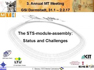 3 Annual MT Meeting GSI Darmstadt 31 1