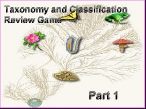 Taxonomy and Classification Review Game Part 1 Taxonomy