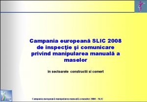 Campania european SLIC 2008 de inspecie i comunicare