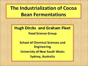 The Industrialization of Cocoa Bean Fermentations Hugh Dircks