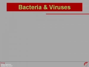 Bacteria Viruses Biology Science Department Deerfield High School