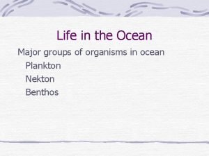 Is a starfish a plankton nekton or benthos