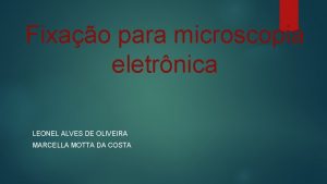 Fixao para microscopia eletrnica LEONEL ALVES DE OLIVEIRA