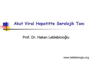 Akut Viral Hepatitte Serolojik Tan Prof Dr Hakan