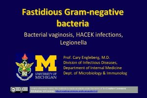 Fastidious Gramnegative bacteria Bacterial vaginosis HACEK infections Legionella