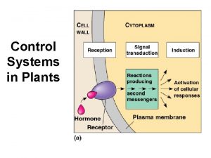 Control systems in plants