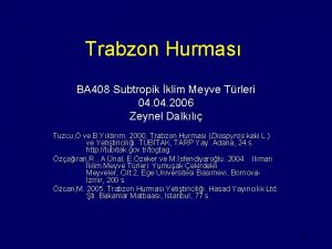 Trabzon hurmas