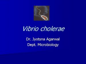 Vibrio cholerae Dr Jyotsna Agarwal Dept Microbiology Cholera