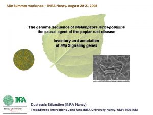 Mlp Summer workshop INRA Nancy August 20 21