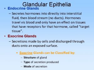 Glandular Epithelia Endocrine Glands Secretes hormones into directly