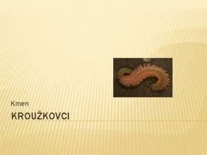 Kmen KROUKOVCI OSNOVA zaazen charakteristika Tda mnohottinatci Tda