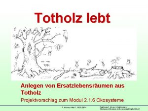 Totholz lebt Anlegen von Ersatzlebensrumen aus Totholz Projektvorschlag