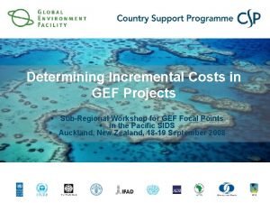 Determining Incremental Costs in GEF Projects SubRegional Workshop