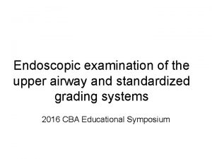 Endoscopic examination of the upper airway and standardized