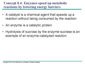 Concept 8 4 Enzymes speed up metabolic reactions