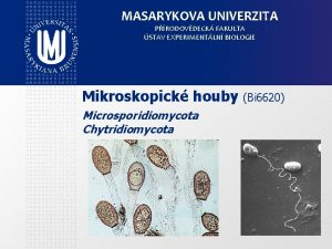 MASARYKOVA UNIVERZITA PRODOVDECK FAKULTA STAV EXPERIMENTLN BIOLOGIE Mikroskopick